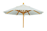 Market Umbrella